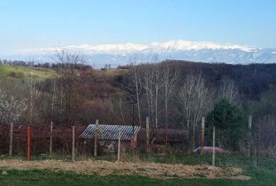 Spațiu comercial, în Cisnădioara - 2