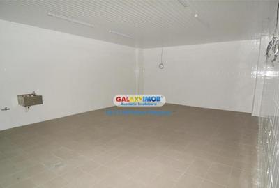 Spațiu comercial, de 900 mp, în Pantelimon