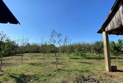 Proprietate in Nojorid zona centrala - 17