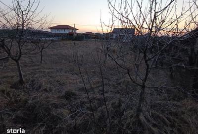 Teren de 600 mp, în Miroslava - 3