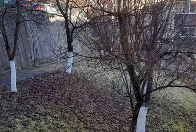 Apartament 2 camere Racadau de inchiriat - 2