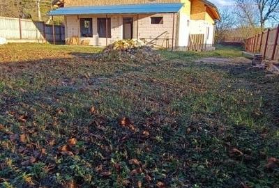 Casa individuala cu teren - Jud. Buzau - Comuna Basceni| Ideal locuit & vacanta - 11
