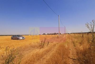 Teren pentru casa/case in Brane?ti pe strada Topora?i - 23