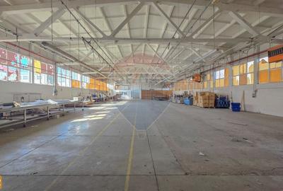 Spațiu industrial, de 5,211 mp, în Central - 42