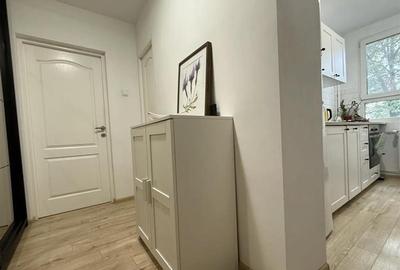 Vanzare Garsoniera Decomandata Berceni-Secuilor - 19