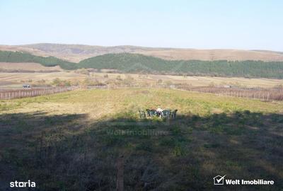 Spațiu comercial, în Căpușu Mare - 2
