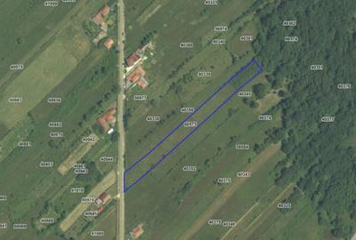 Teren 5000 mp, cu utilita?i, in comuna Crasna - 6