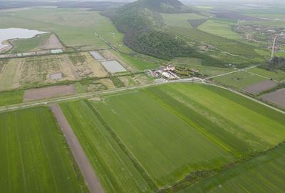 Teren extravilan de 22500mp Zona Ineu - 6