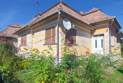 Casă cu 3 camere cu Teren 1400 Mp în Mihai Viteazu - 1