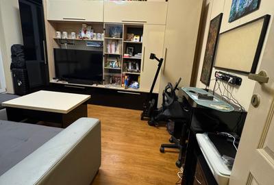 Apartament cu 1 camera Visan - 2