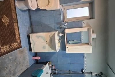 Casă cu Teren 2500 Mp în Otelec - 3