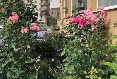 Apartament cu 3 camere în Florești - 3