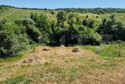 Teren de 1200 mp, în Central - 1