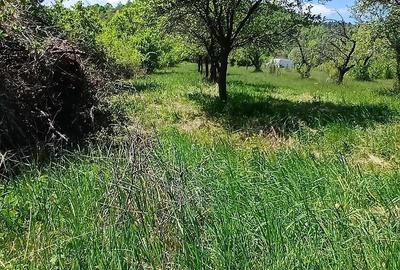 Teren de 831 mp, în Vale - 1