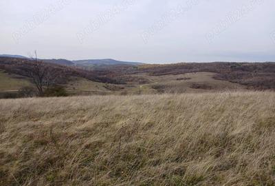 Teren de 19150 mp, în Tomnatic - 2