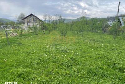 Teren de 4057 mp, în Aluniș - 7