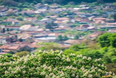 Vila distinctiva,pretabila si pentru 2 familii,  perspectiva panoramica remarcab - 7