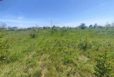 Teren Construcții intravilan de 390 mp, în Malu Mare - 1