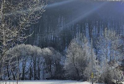 Teren Construcții intravilan de 3200 mp, în Est - 8