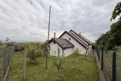 Casă cu 4 camere în Deleni - 4