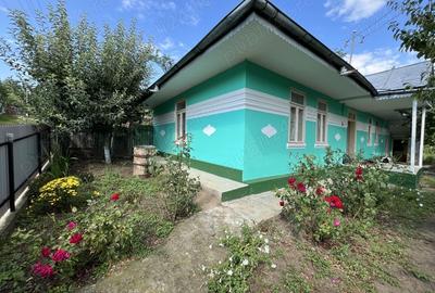 Vand Casa in sat Plopi com. Bunesti-Averesti - 6