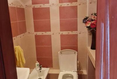 Apartament cu 2 camere în Șagului