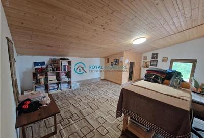 Royal Imobiliare-Vanzare Vila Zona Paulesti - 19