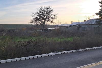 Teren în Cornetu - 5