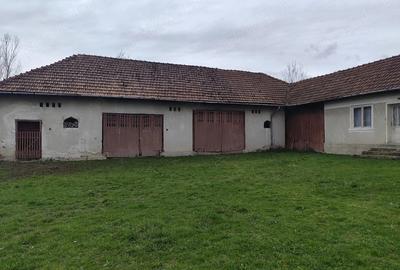 Casă cu Teren 4500 Mp în Ștei - 3