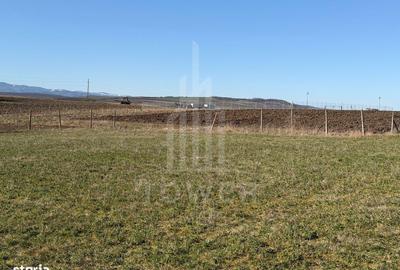 Teren de 1670 mp, în Central - 8