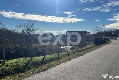 Casă cu 2 camere cu Teren 3772 Mp în Cocu - 2