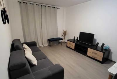 Apartament cu 3 camere decomandat, mobilat în Gorjului - 3