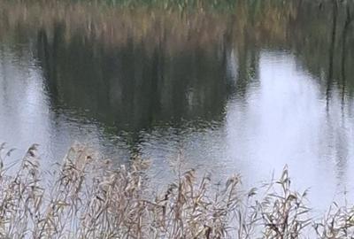 Casă cu 4 camere în Central - 3