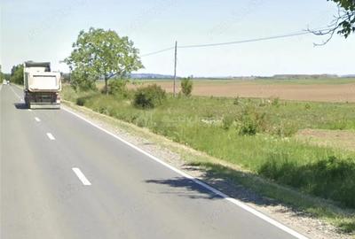 Teren de 3000 mp, în Sălard - 3