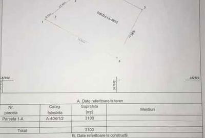 Spațiu comercial, în Băcia - 4