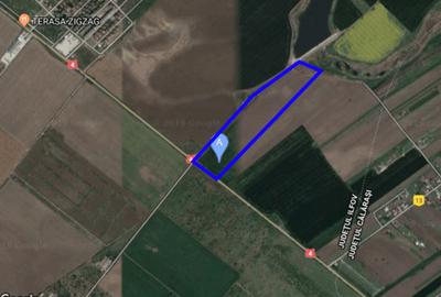 Teren Construcții intravilan de 61000 mp, în Berceni