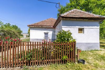 Proprietate versatila cu casa, doua hale si teren generos