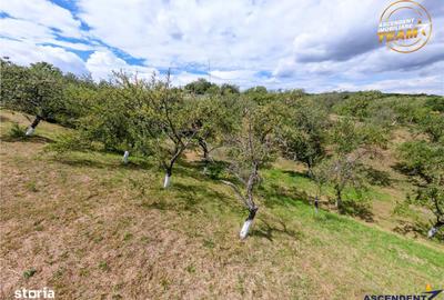 Teren de 4500 mp, în Ilieni - 3