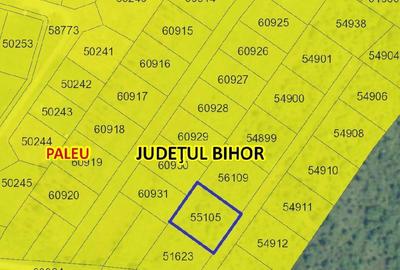 Teren de 1000 mp, în Săldăbagiu de Munte - 7