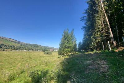 Teren, Ideal pentru Investitie Sau Dezvoltare - 11