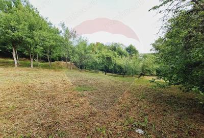 Casa cu teren 3100mp in Hidiselu de Sus - 11