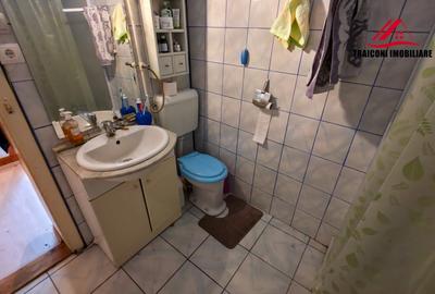 Casă individuală cu 2 camere cu Canalizare în Girocului - 10