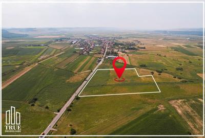 Teren extravilan de vânzare, 4.02ha - 40272m?, Gornești! - 5
