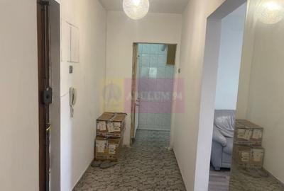Apartament cu 3 camere decomandat, mobilat în Pantelimon - 4