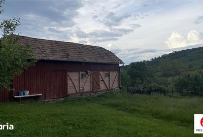 Casă cu 4 camere decomandat cu Teren 2500 Mp în Gheorghe Doja - 8