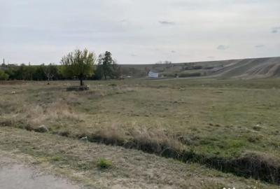Teren de 5000 mp, în Malu Mare