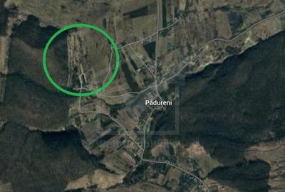 Teren extravilan, Padureni 20700 mp, alipit padure - 3