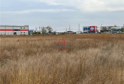 Spatiu industrial/teren pietruit Magurele - Atomistilor, Il Spatiu industrial/teren pietruit Magurele - Atomistilor, Il - 3