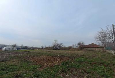 Casă cu 4 camere cu Teren 2080 Mp în Plopeni - 1