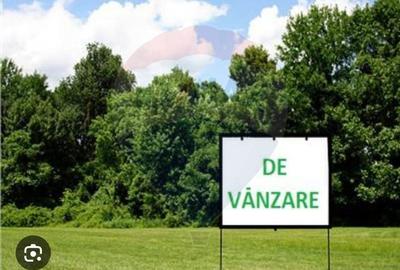 Teren agricol extravilan de 5000 mp, în Păuliș